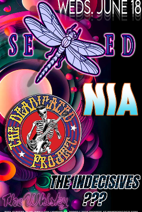SEED, Mauve Pocket, NIA, Deadicated Project (Grateful Dead Tribute), The Indecisives