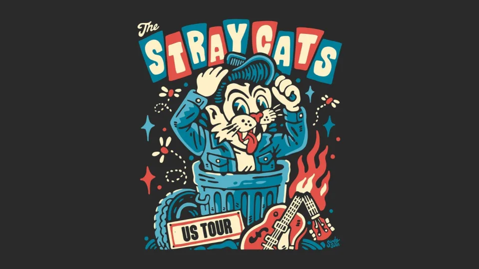 THE STRAY CATS