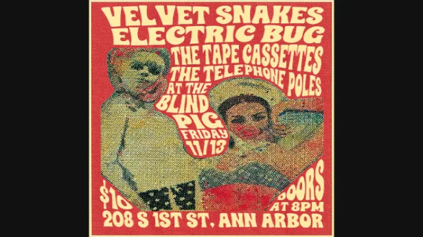 Velvet Snakes, Electric Bug, The Tape Cassettes, The Telephone Poles