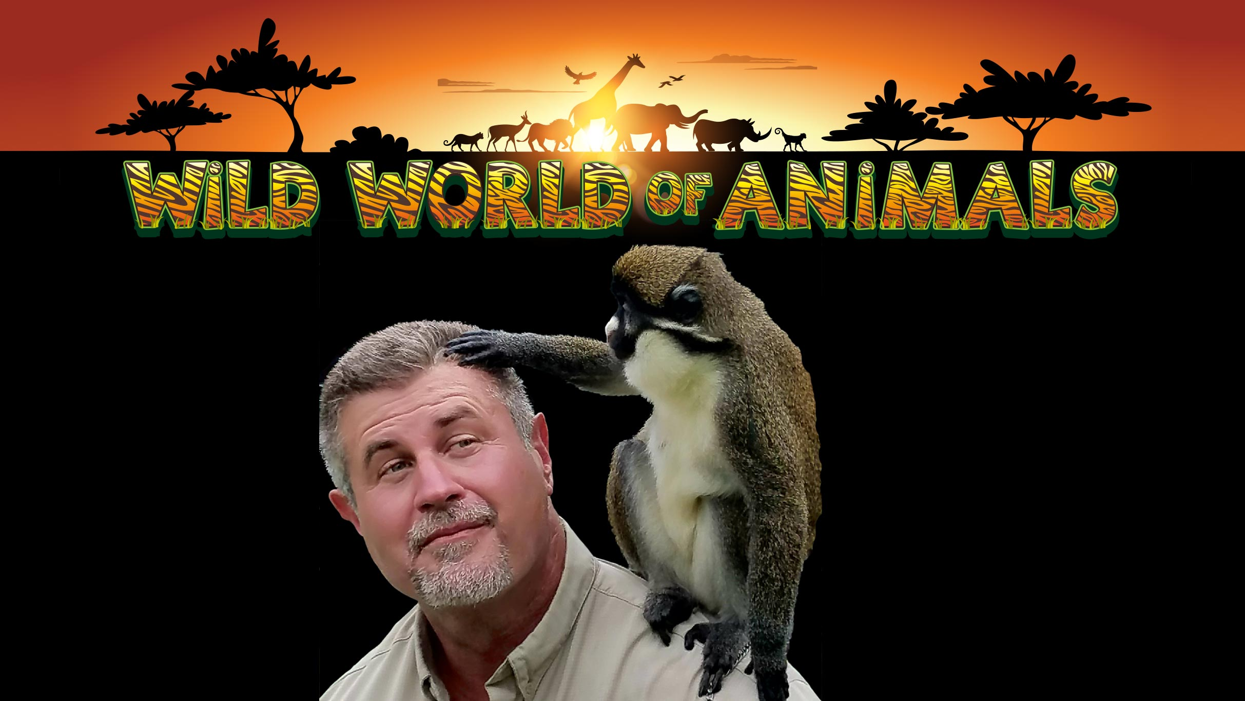 Wild World Of Animals