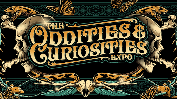 Oddities & Curiosities Expo - Jackalope Taxidermy Class