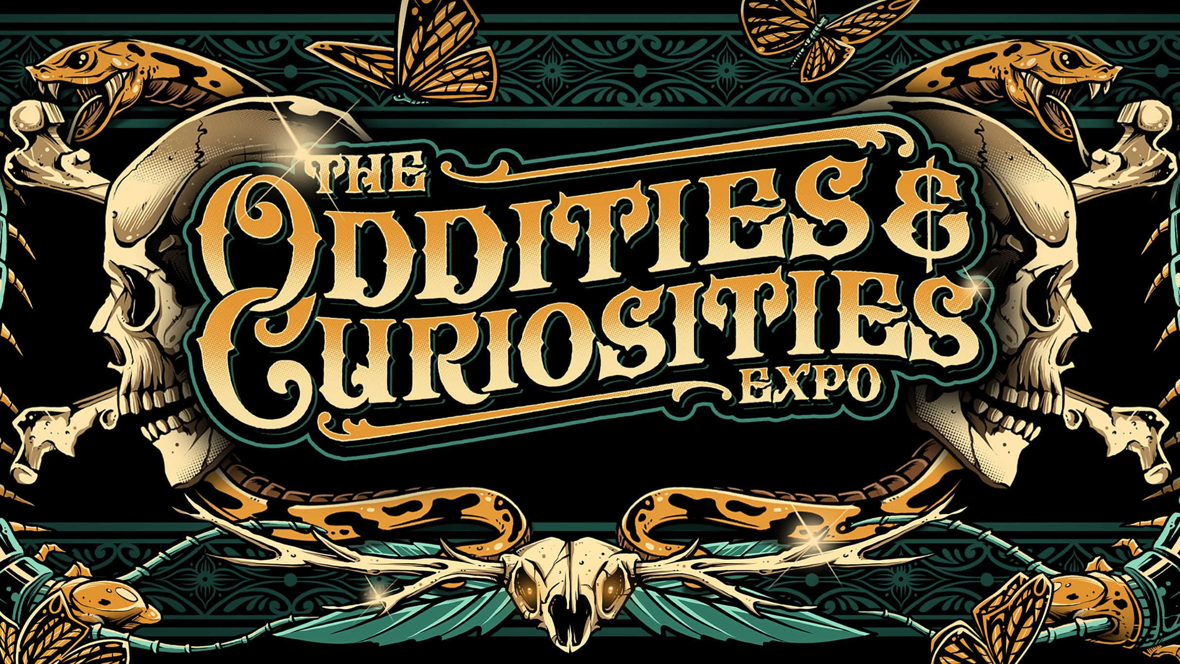 Oddities & Curiosities Expo - Entomology PM Spiders Class