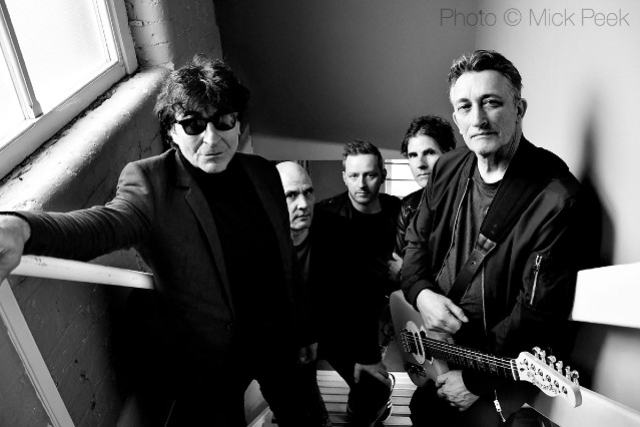 The Chameleons
