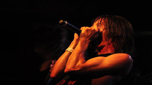 Incite, Aligned in Ruins, Cleanse The Destroyers