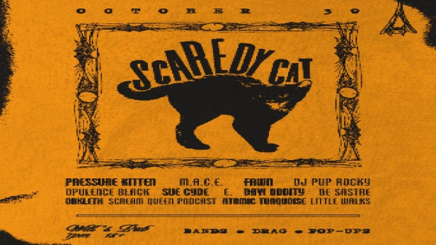 SCAREDY CAT