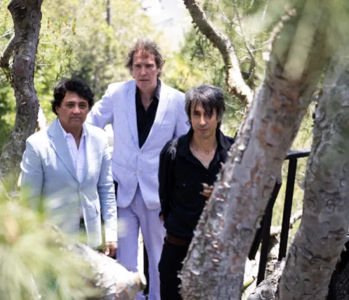 The Sadies