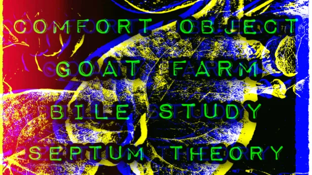 Comfort Object / Goat Farm / Bile Study / Septum Theory