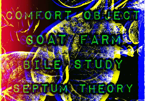 Comfort Object / Goat Farm / Bile Study / Septum Theory