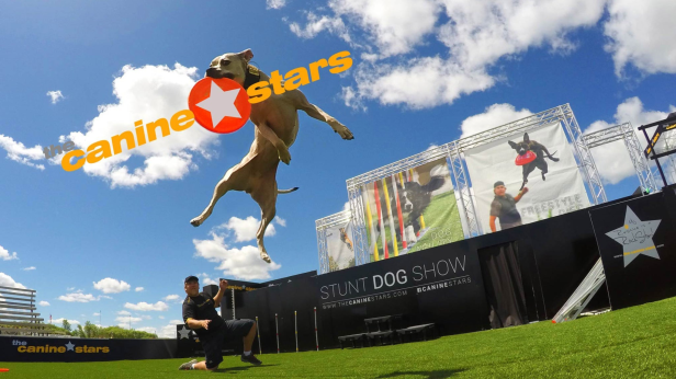The Canine Star Stunt Dog Show