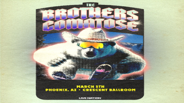 THE BROTHERS COMATOSE