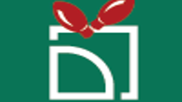 Holiday Lights at The Ballpark at America First Square