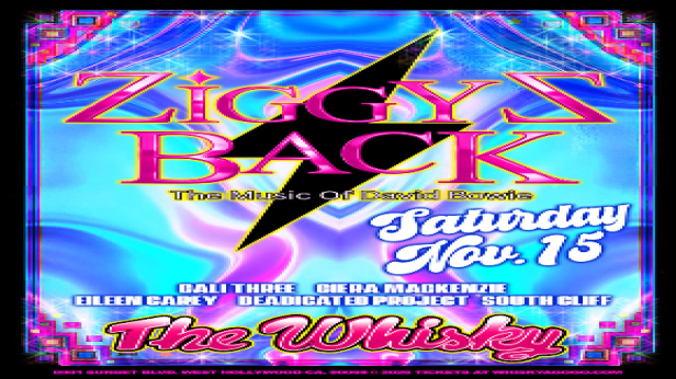 Ziggy'z Back (Tribute to David Bowie), Cali Three, Eileen Carey ,  Ciera MacKenzie, Deadicated Project (Grateful Dead Tribute), South Cliff