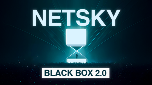 Decadence Recovery Party: Netsky