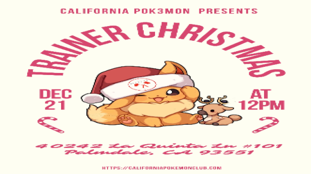 Trainer Christmas