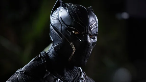 Black Panther In Concert
