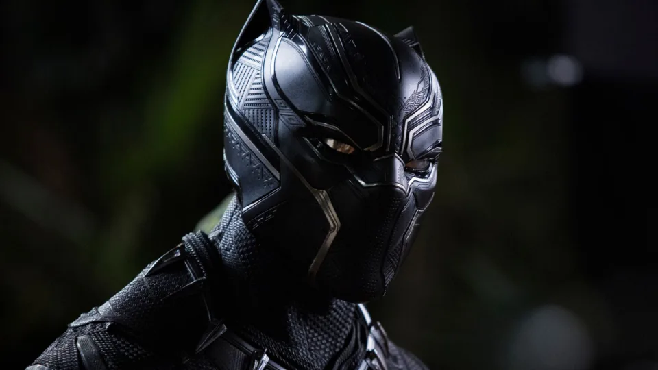 Black Panther In Concert