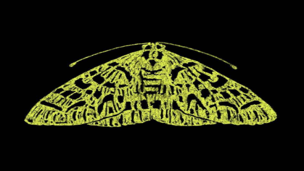 THE MOTH: HOME FOR THE HOLIDAYS