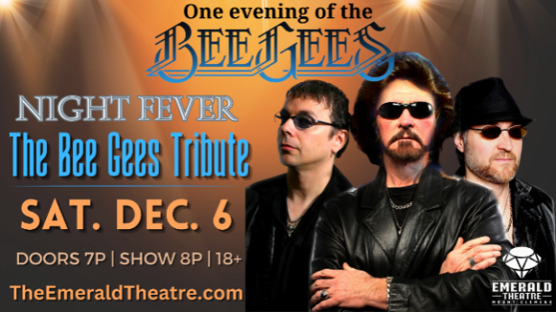 Night Fever - The Bee Gees Tribute