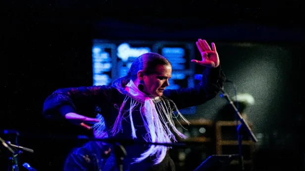 Clinard Dance's Flamenco Quartet Project
