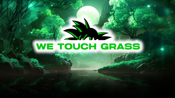 WeTouchGrass presents: Anime Rave - 21+
