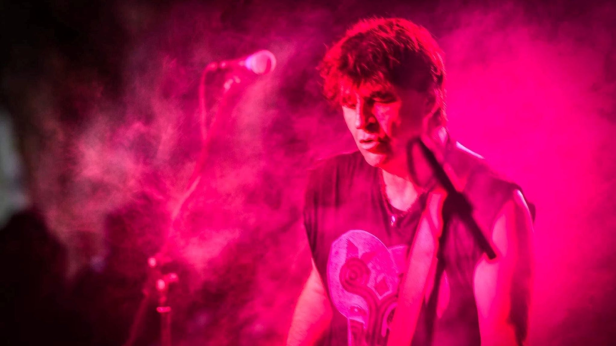 The Chameleons w/ The Veldt