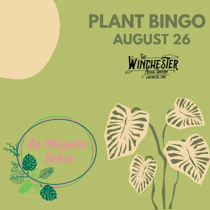 AUGUST PLANT BINGO!