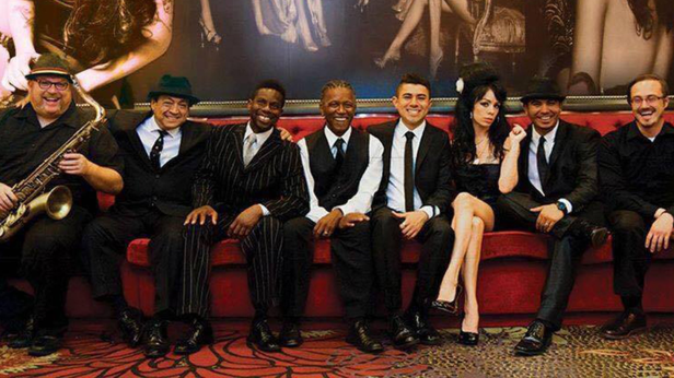 The Winehouse Experience