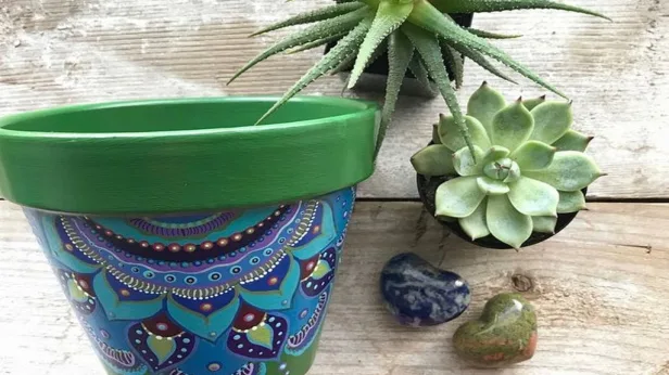 Plant and Paint Succulents Pot