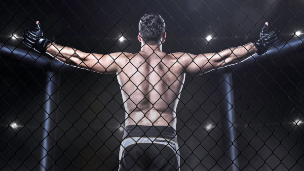 FAC MMA 30