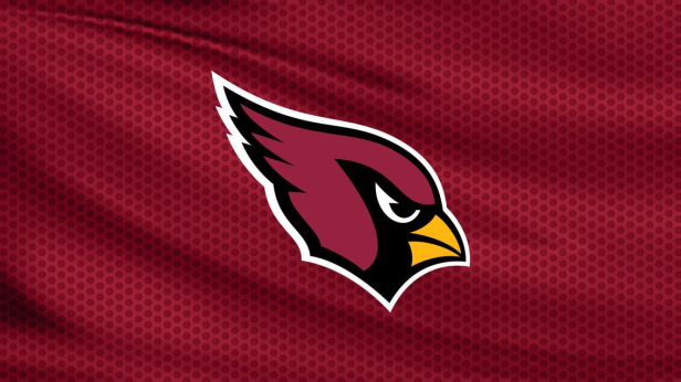 Arizona Cardinals v Tennessee Titans