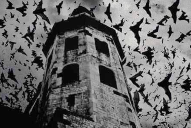 CHURCH OF HIVE
