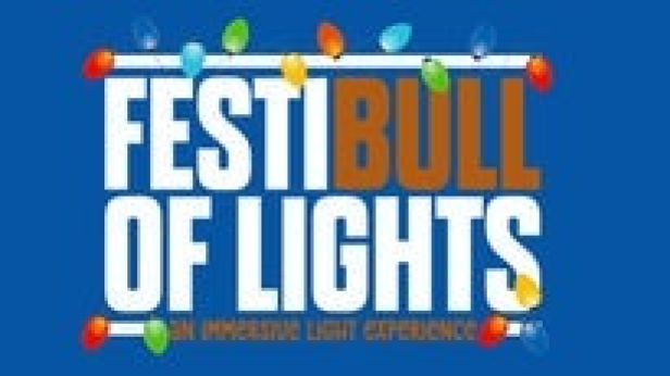 FestiBull of Lights