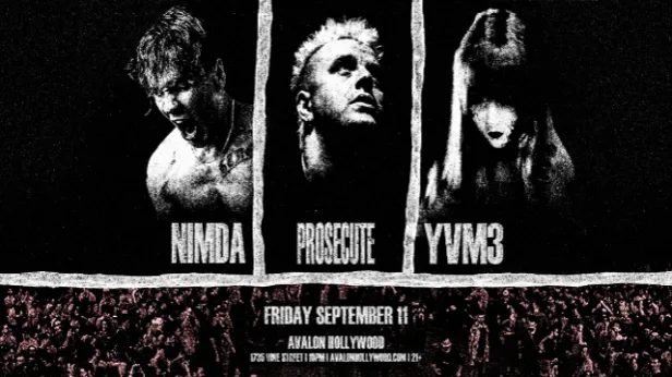 Nimda x Prosecute x yvm3