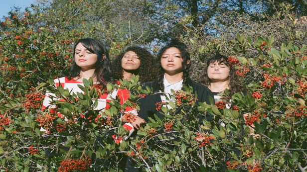 La Luz, Spacemoth