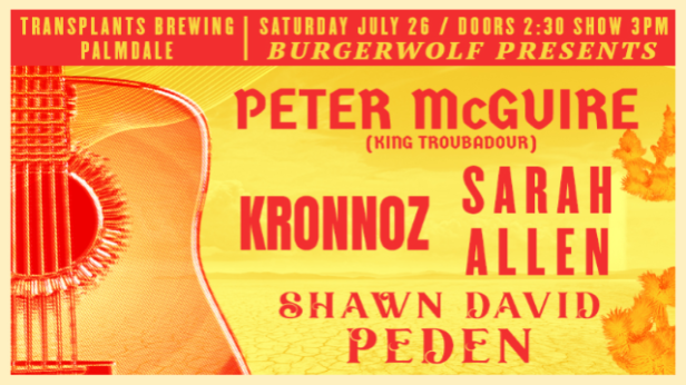 FREE ACOUSTIC SHOW: PETER MCGUIRE / KRONNOZ / SARAH ALLEN / SHAWN DAVID PEDEN