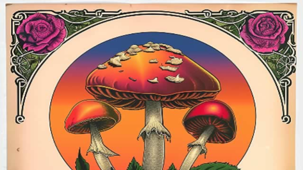 Live Dead & Brothers Perform The Music of Grateful Dead & Allman Bros