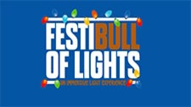FestiBull of Lights