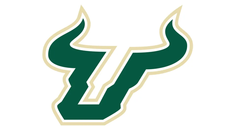 South Florida Bulls Men's Basketball vs. UMBC