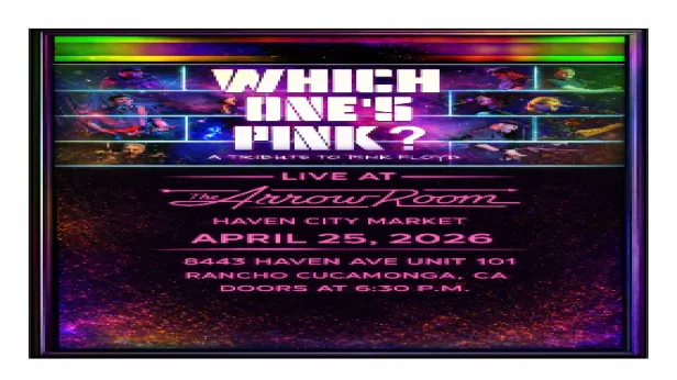 Pink Floyd tribute - Which One’s Pink with Skunkdub