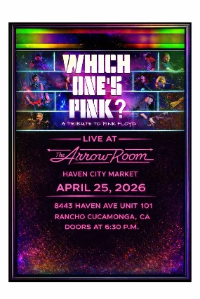 Pink Floyd tribute - Which One’s Pink with Skunkdub