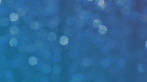 Great Ant Sleepover