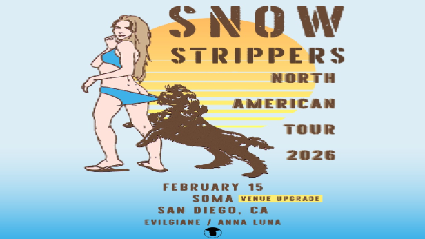Snow Strippers