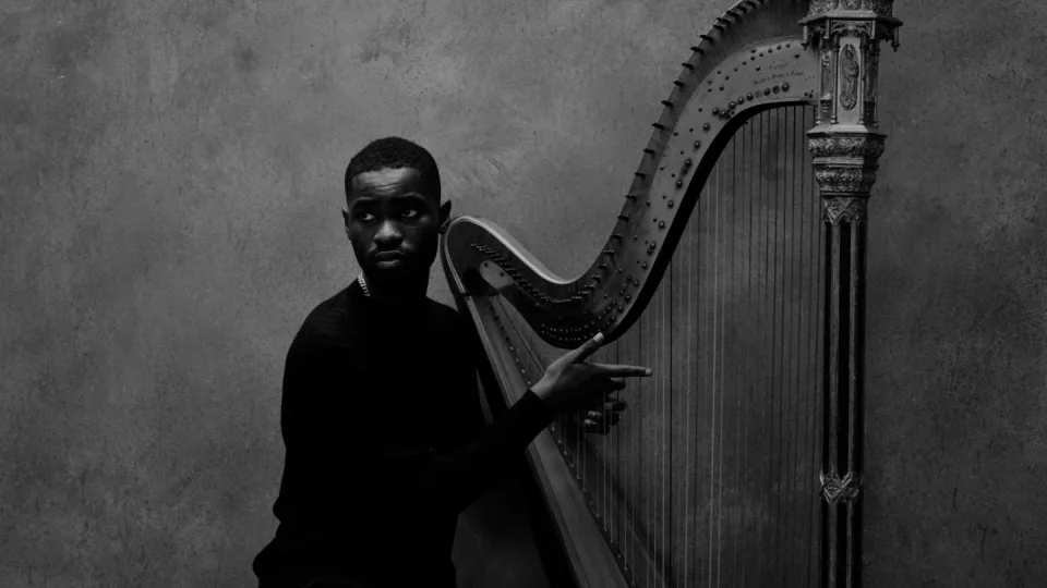 DAVE - The Boy Who Played the Harp Tour