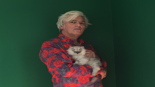 Robyn Hitchcock