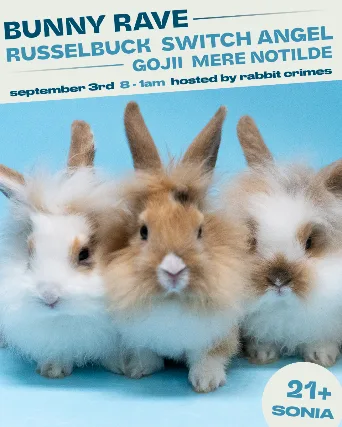 Bunny Rave