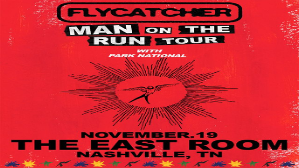 Flycatcher / Park National
