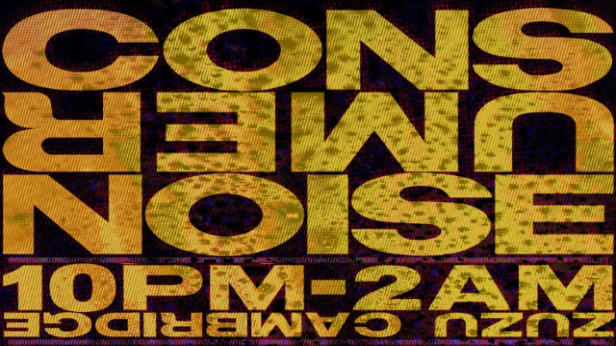 Consumer Noise