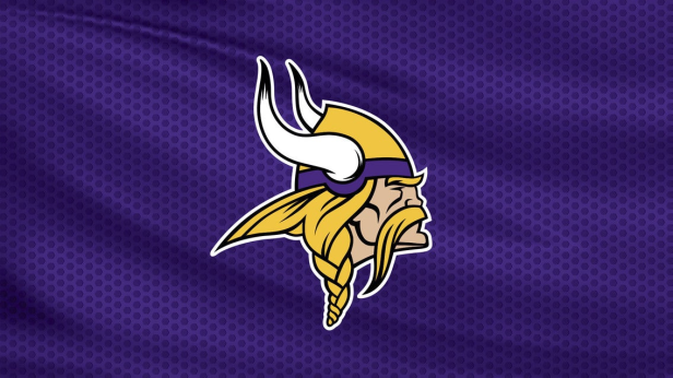 Preseason Game 1 - Houston Texans v Minnesota Vikings