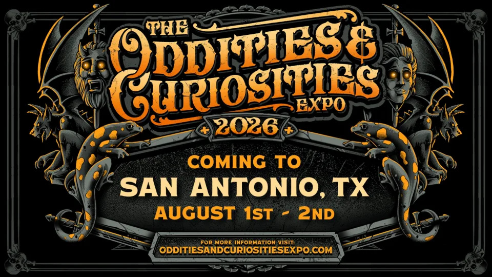 Oddities & Curiosities Expo: Raccoon Taxidermy Class 10 AM-4 PM