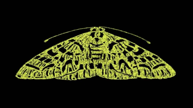 THE MOTH: NINE TO FIVE